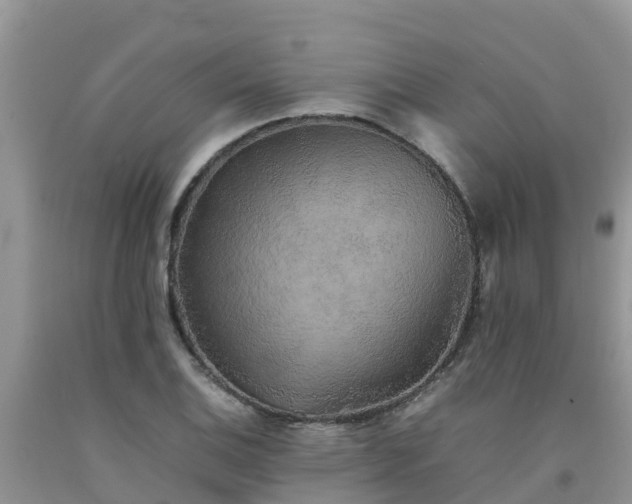 X0000092061124200709191135