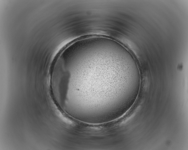 X0000092061125200709191135