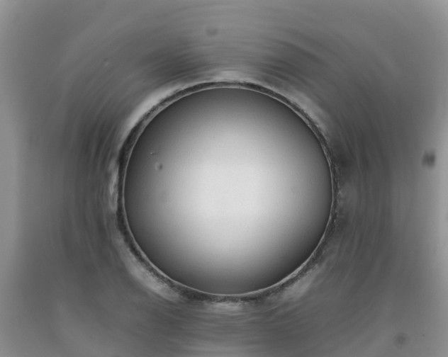 X0000092061126200709191135