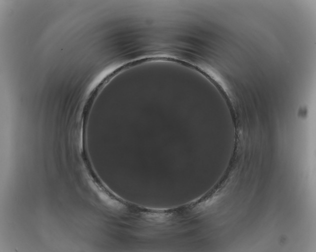 X0000092061127200709191135