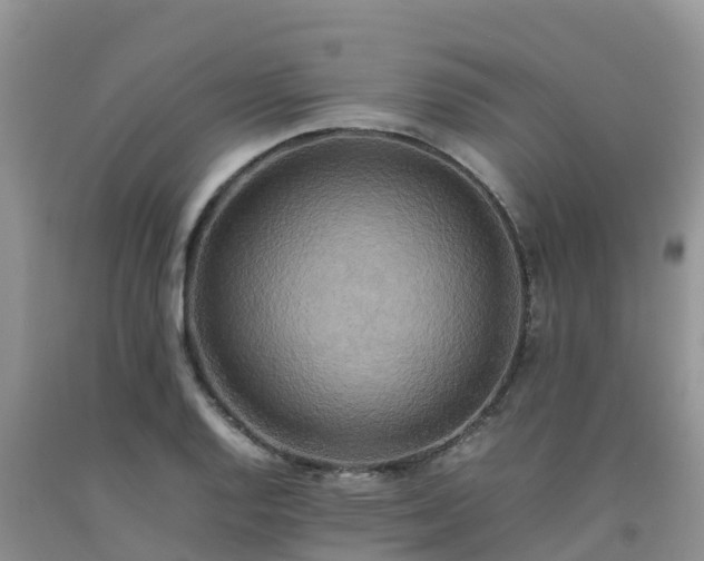 X0000092061128200709191135