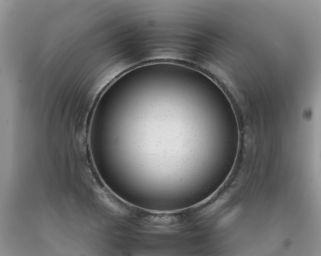 X0000092061129200709191135