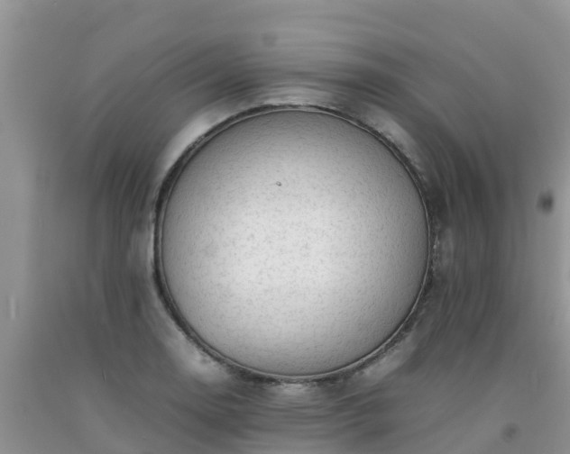 X0000092061130200709191135