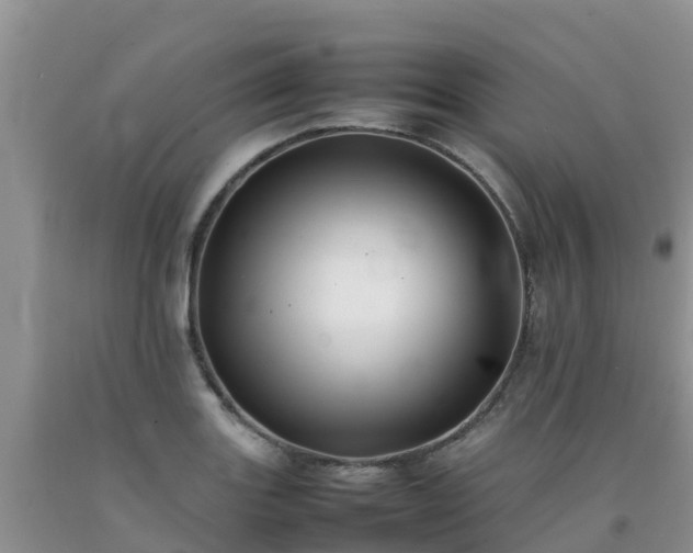 X0000092061131200709191136