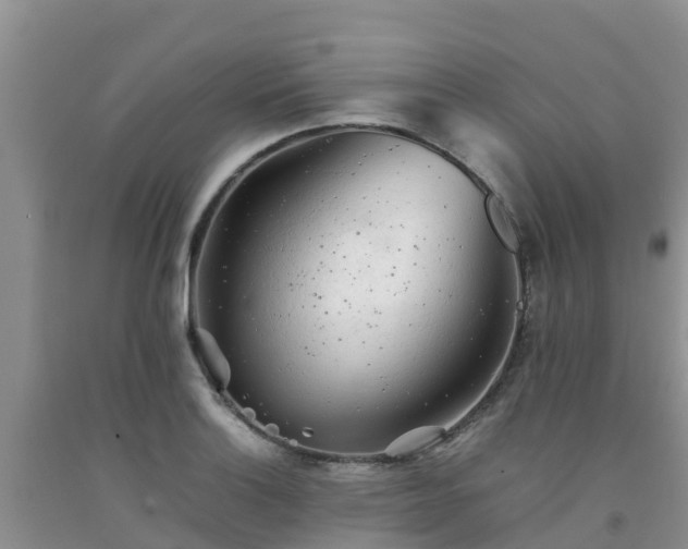 X0000092061132200709191136