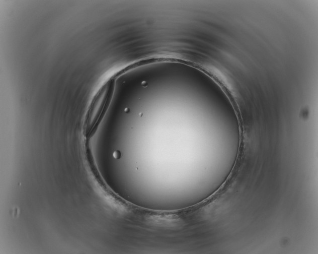 X0000092061133200709191136