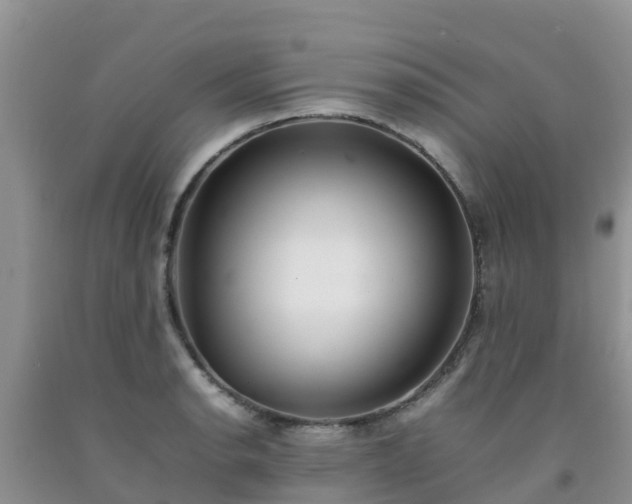 X0000092061134200709191136