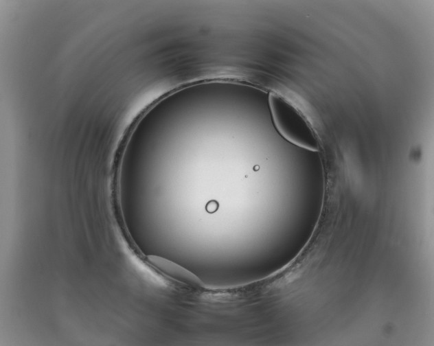 X0000092061135200709191136