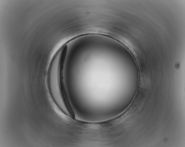 X0000092061136200709191136