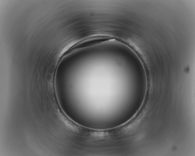 X0000092061137200709191136