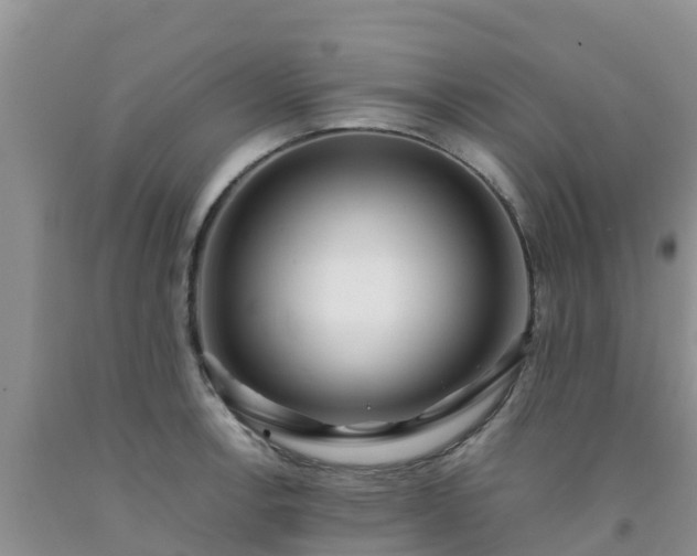 X0000092061138200709191136