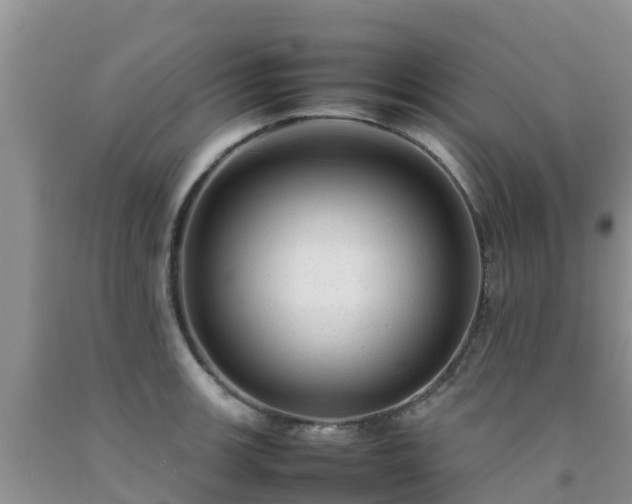 X0000092061139200709191136