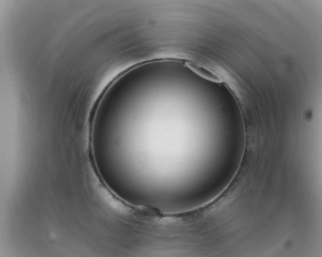 X0000092061140200709191136