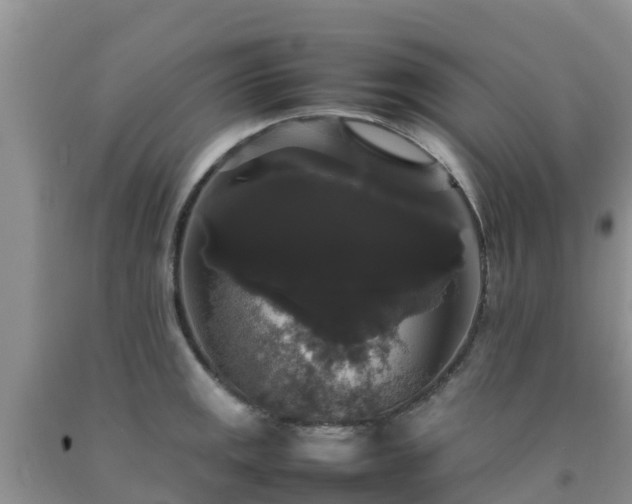 X0000092061141200709191136