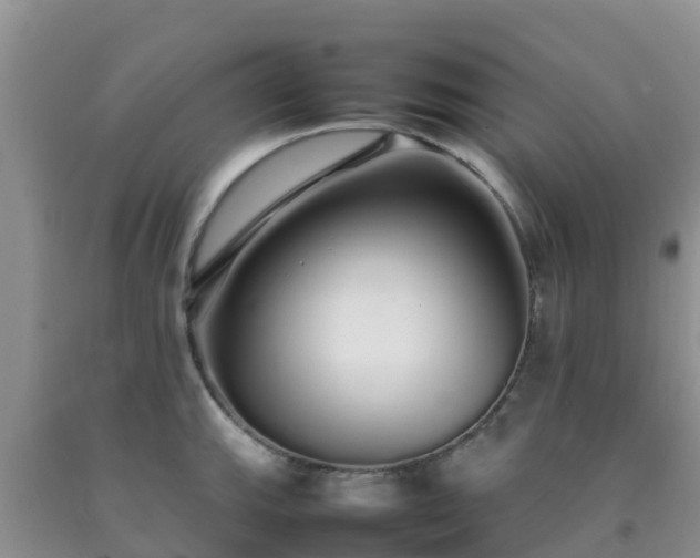 X0000092061143200709191136