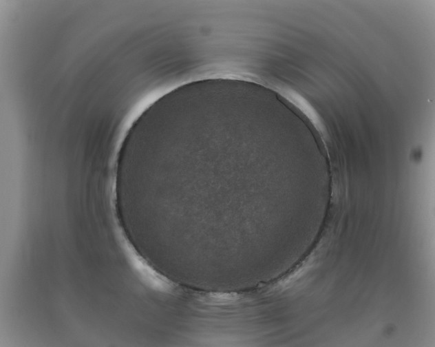 X0000092061144200709191136