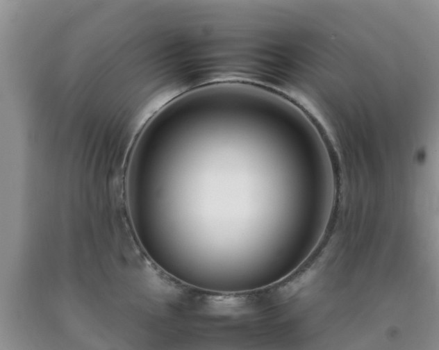 X0000092061145200709191136