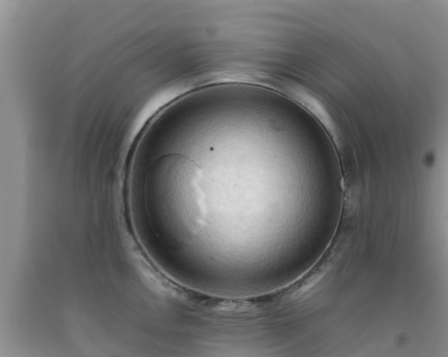 X0000092061146200709191136