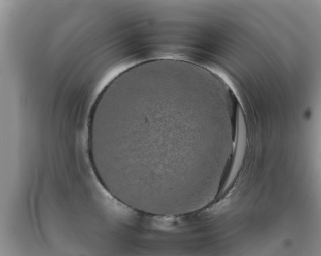 X0000092061147200709191136