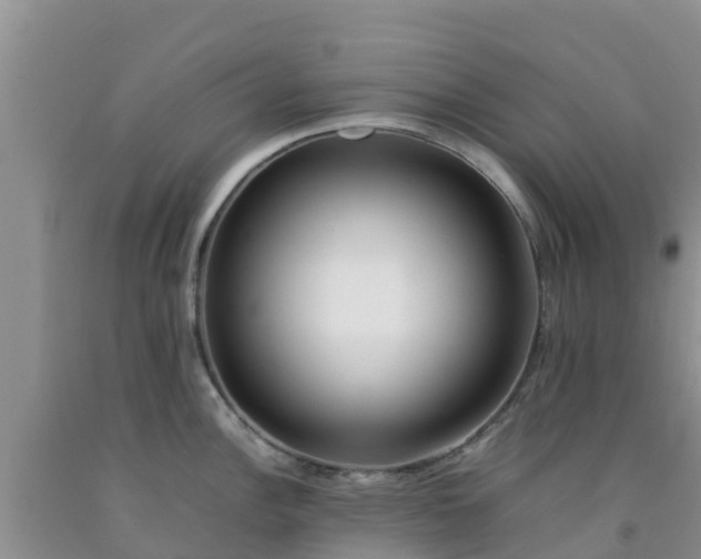 X0000092061148200709191136