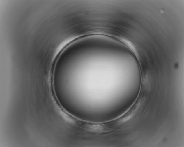 X0000092061149200709191136