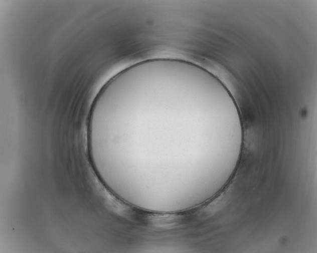 X0000092061150200709191136