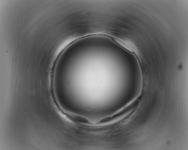 X0000092061151200709191136