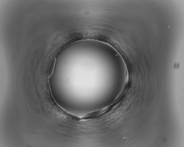 X0000092061153200709191135