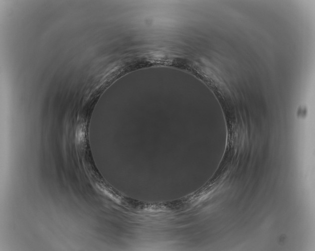 X0000092061154200709191135