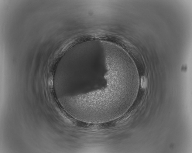 X0000092061155200709191135