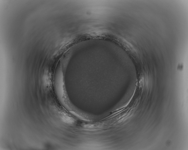 X0000092061156200709191135