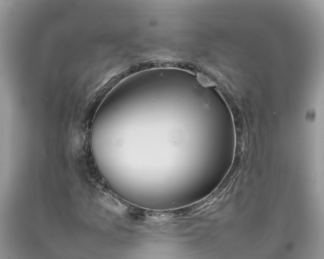 X0000092061157200709191135