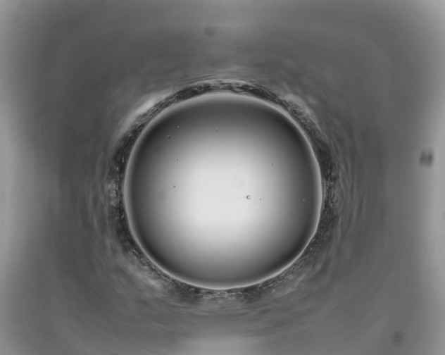 X0000092061159200709191135