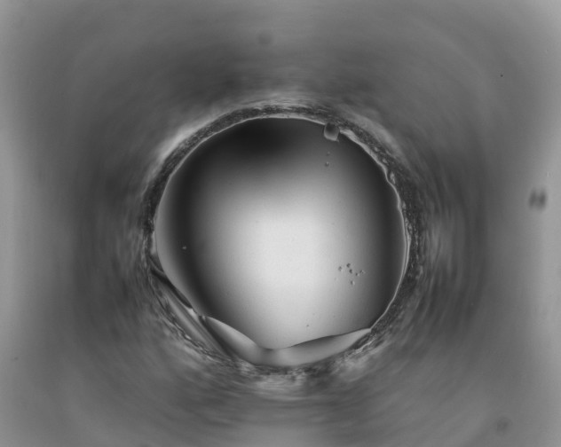 X0000092061160200709191135