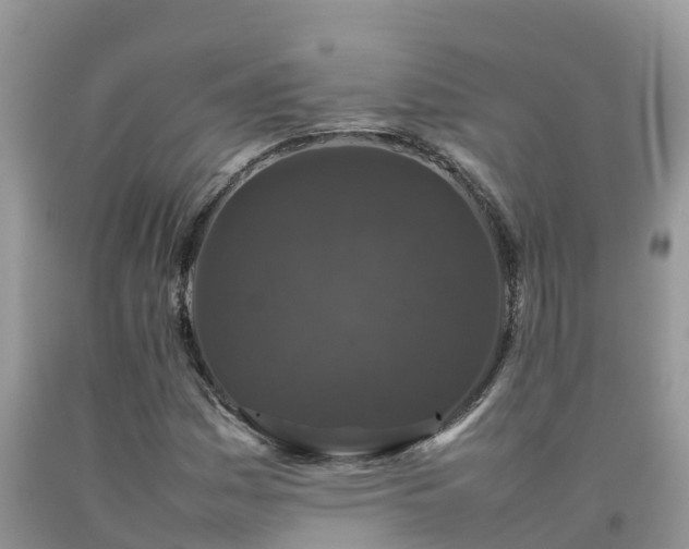 X0000092061161200709191135