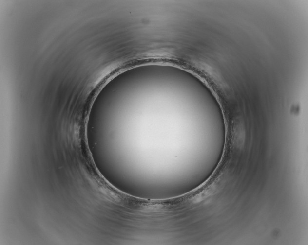 X0000092061162200709191135