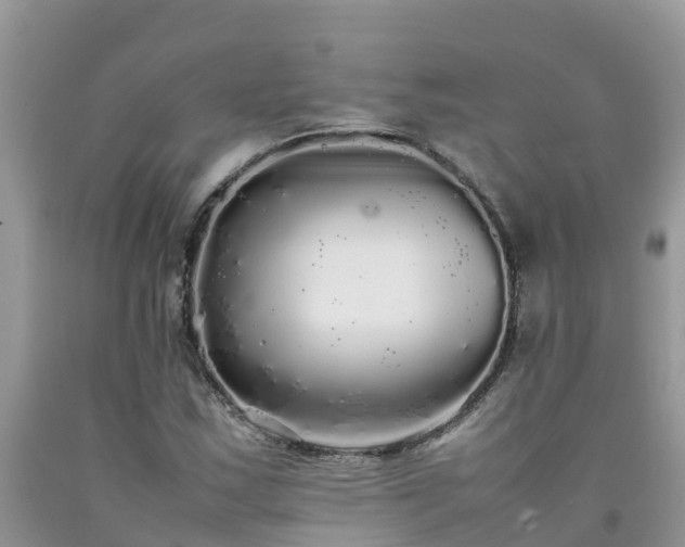 X0000092061163200709191135