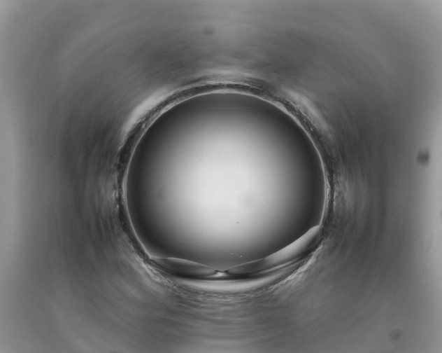 X0000092061164200709191135