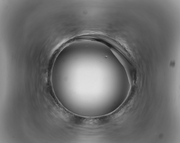 X0000092061165200709191135