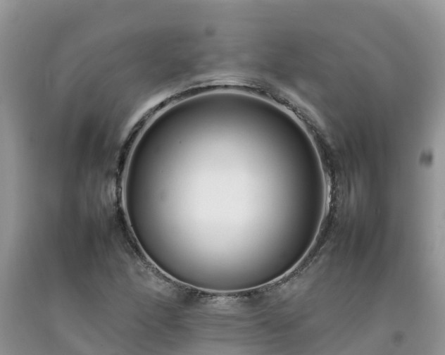 X0000092061166200709191135