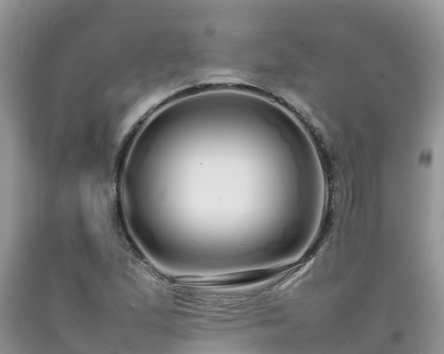 X0000092061167200709191135