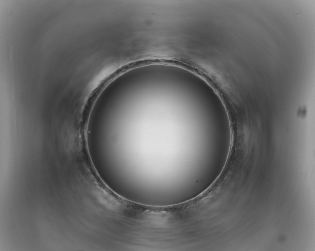 X0000092061168200709191135