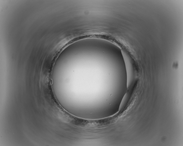 X0000092061169200709191135