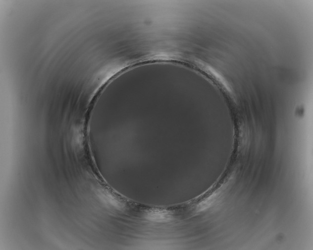 X0000092061170200709191135