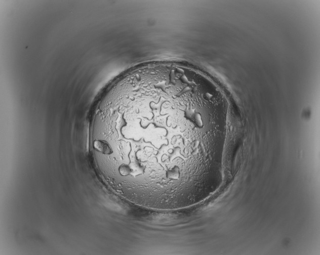 X0000092061171200709191135