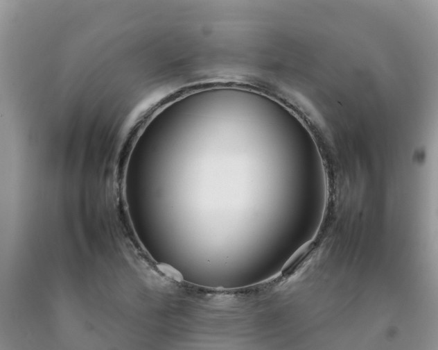 X0000092061172200709191135