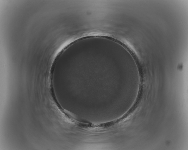 X0000092061173200709191135