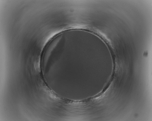 X0000092061174200709191135