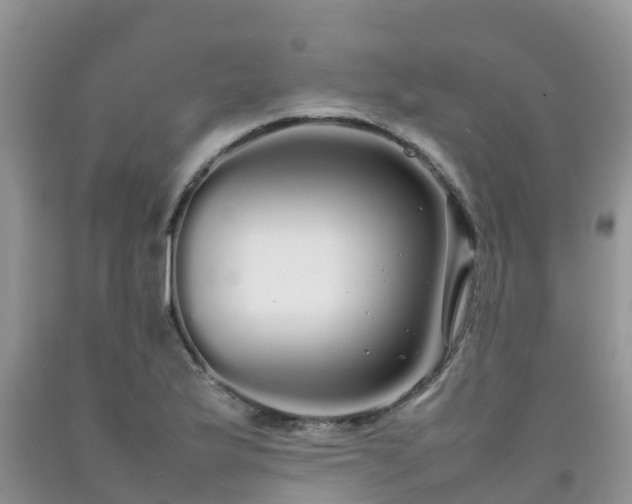 X0000092061175200709191135