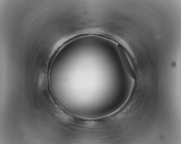 X0000092061176200709191135